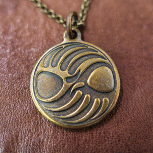 Bear Paw Print in Bronze