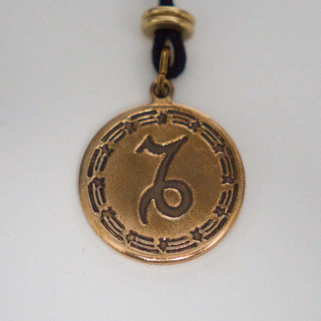 Capricorn in Bronze