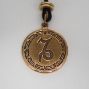 Capricorn in Bronze