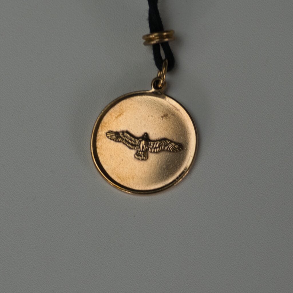 Hawk Medallion