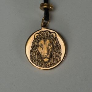 Lion in Bronze